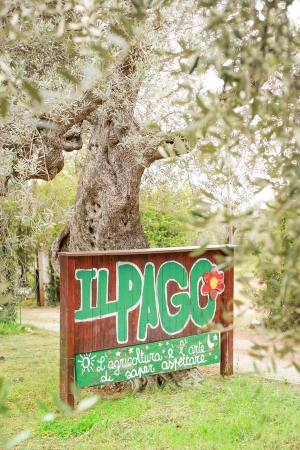 Azienda Agrituristica Il Pago ノーヴァ・シーリ・マリーナ エクステリア 写真